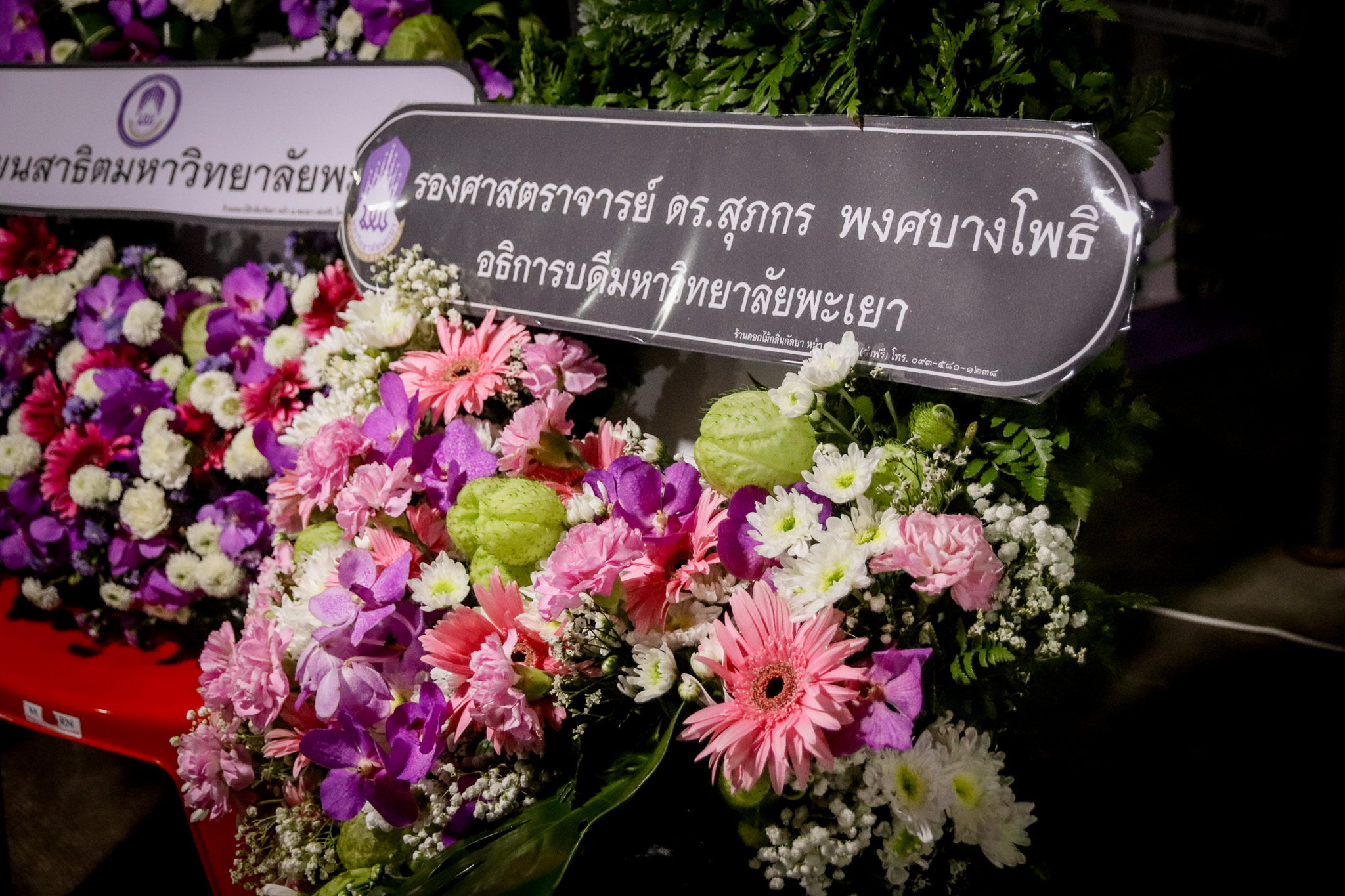 รูปภาพที่ 5