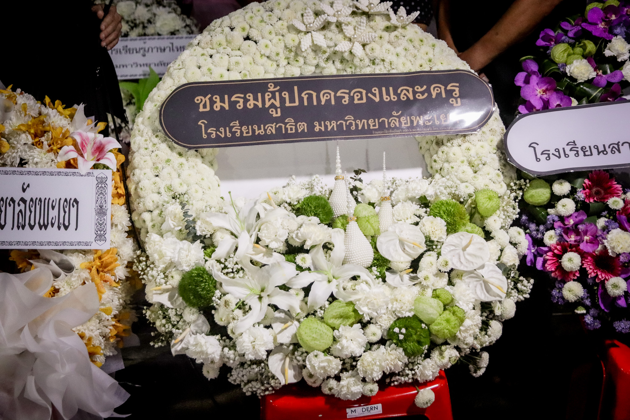 รูปภาพที่ 8