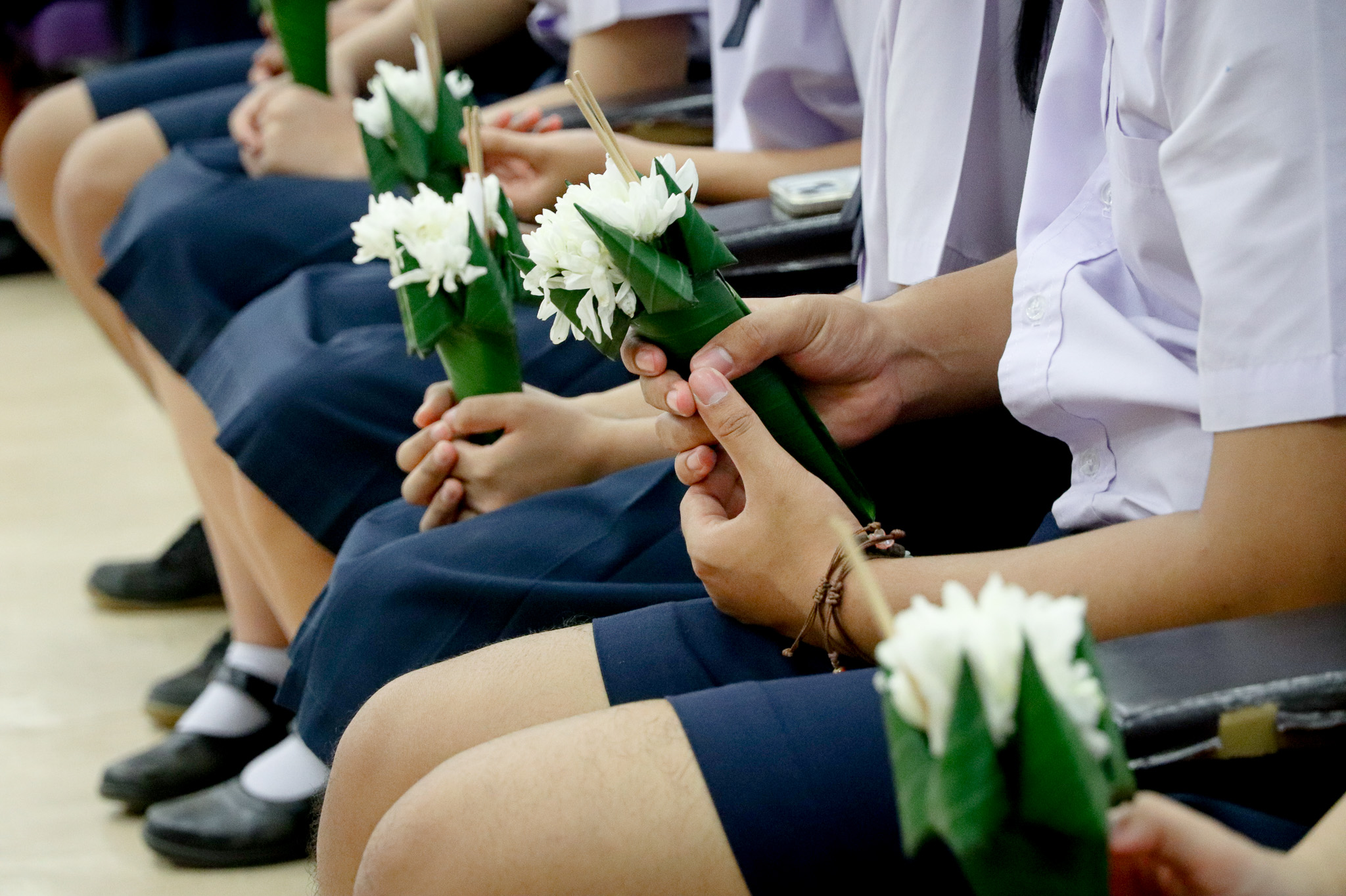 รูปภาพที่ 5