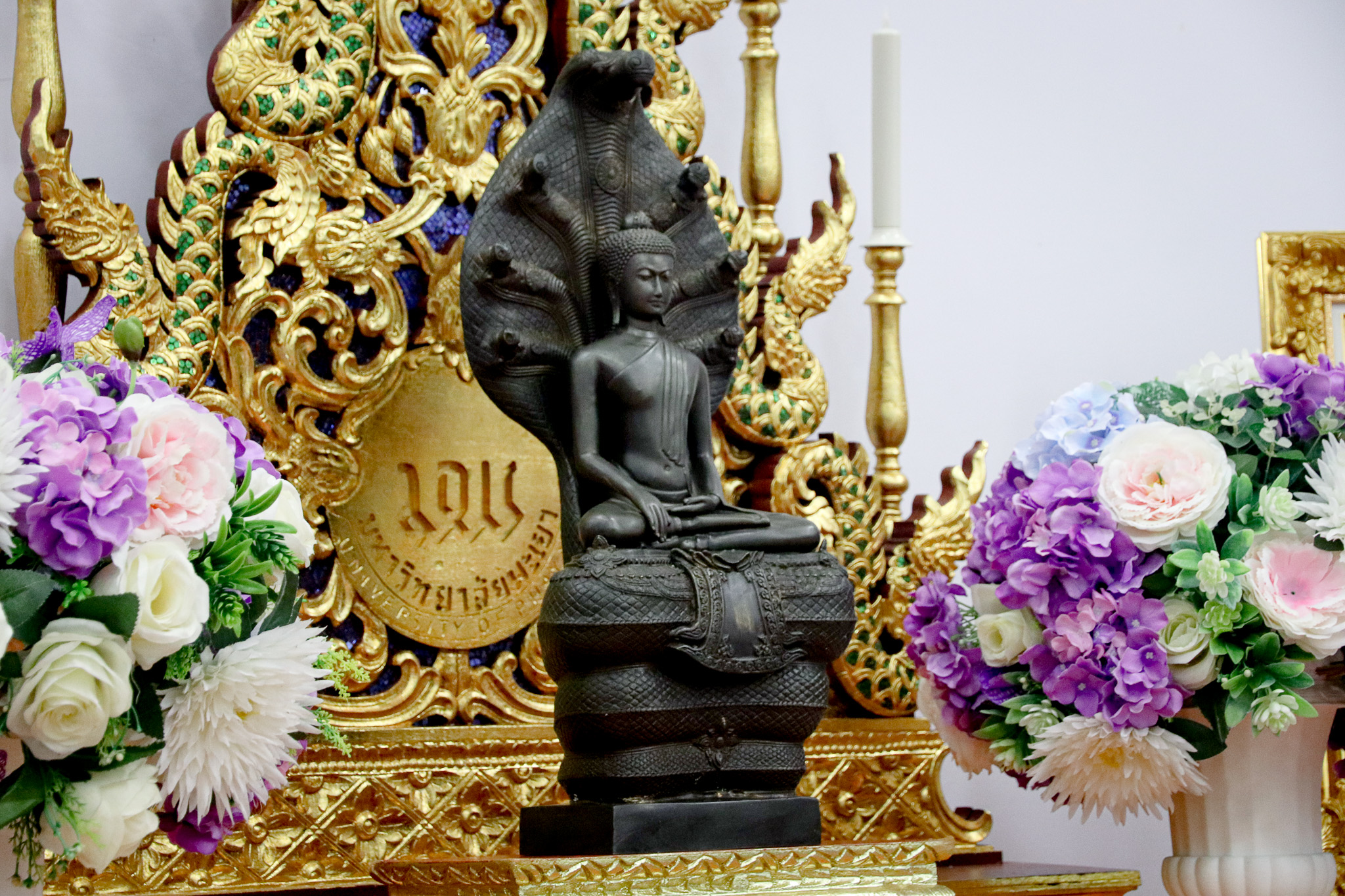 รูปภาพที่ 6
