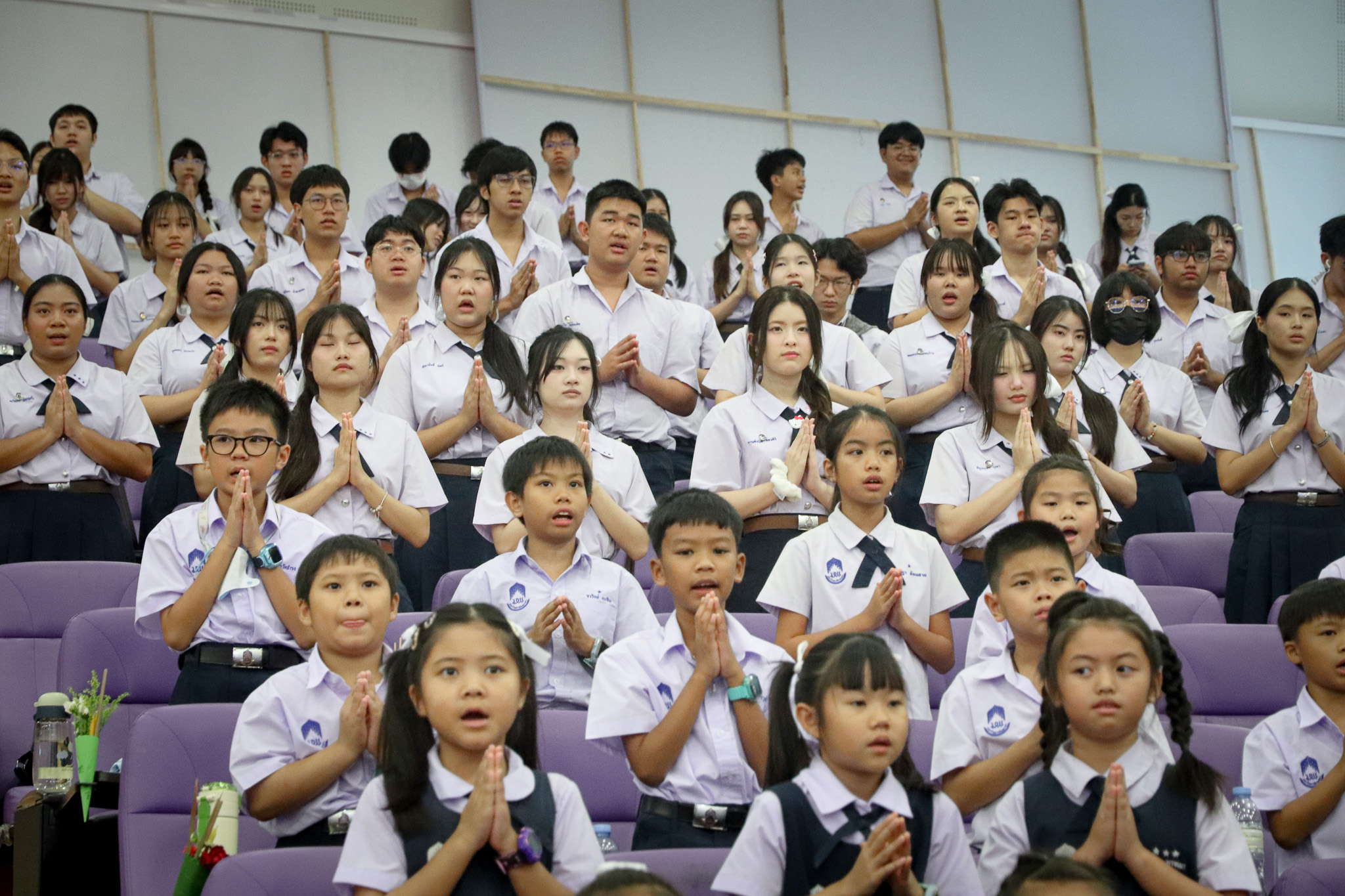 รูปภาพที่ 13