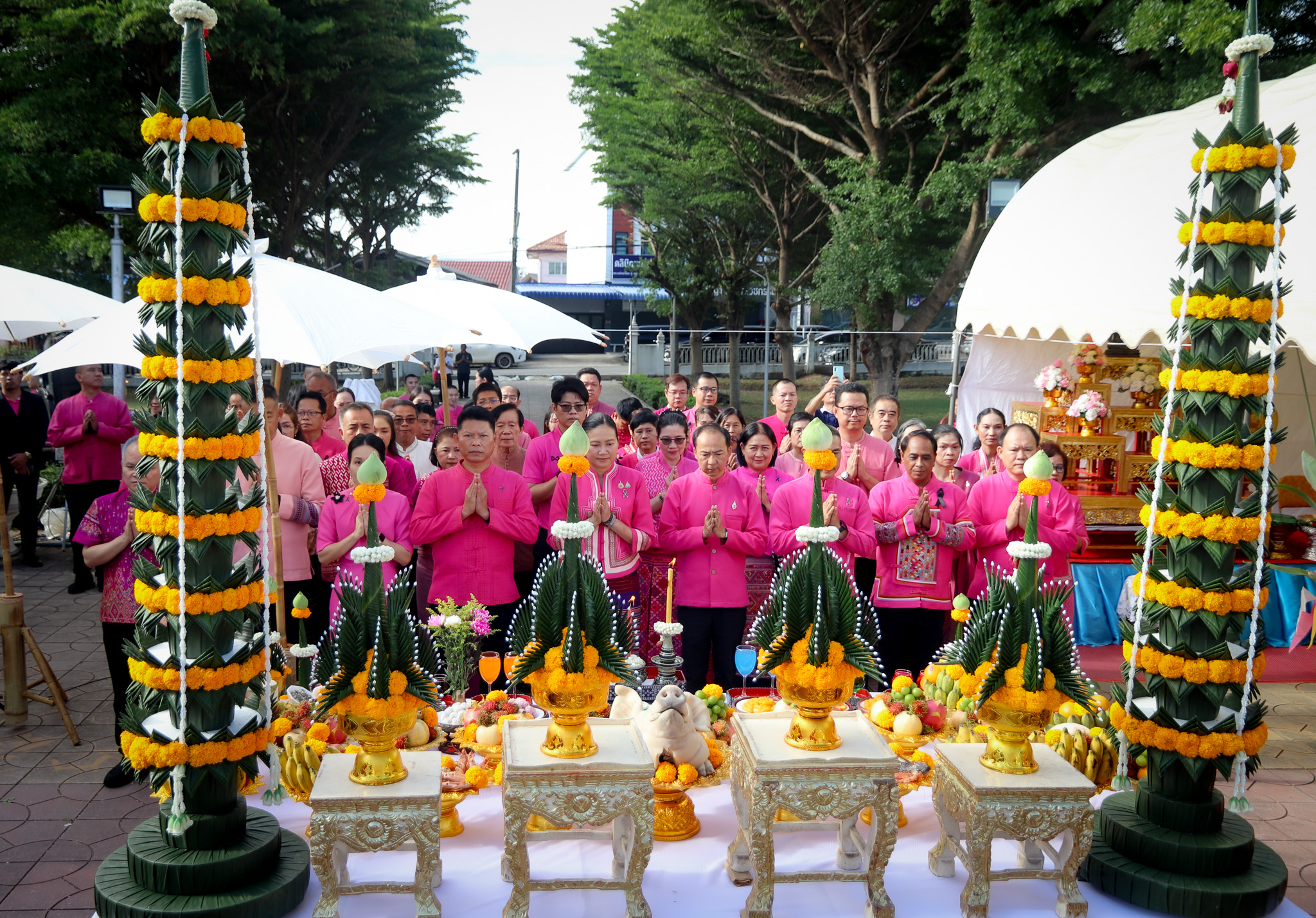 รูปภาพที่ 7